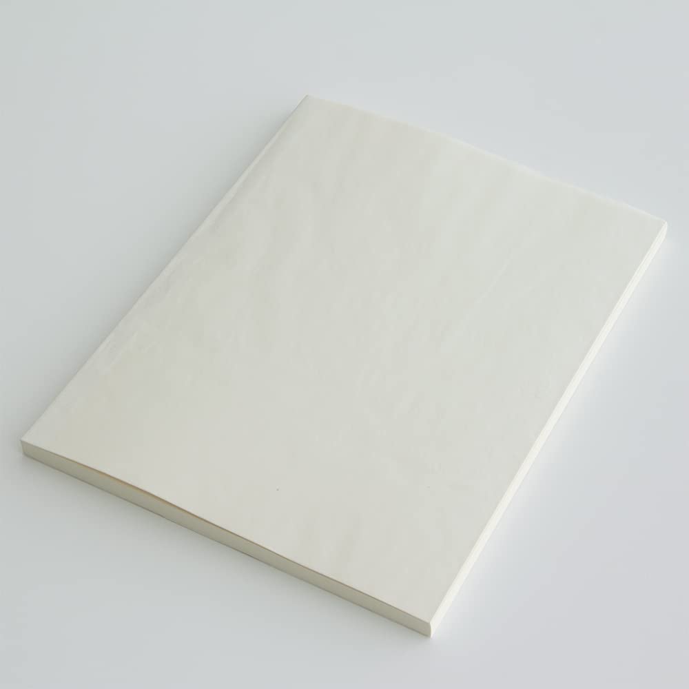 Midori MD Notebook - Blank - A4 Variant