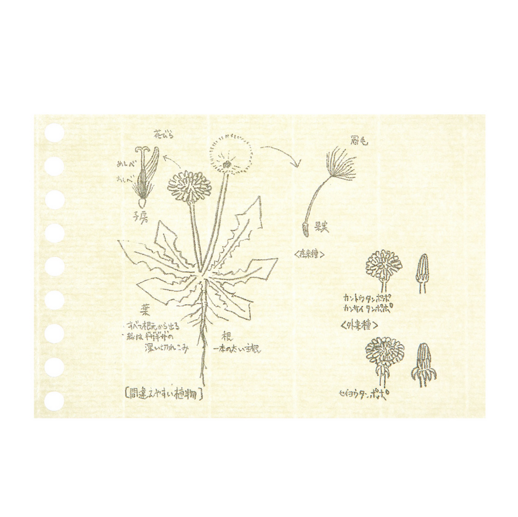 Loose Leaf Paper Maruman Easy to Write Mini Loose Leaf Paper - B7 - 60 Sheets - Cream Blank CROQUIS paper MARUMAN L1437