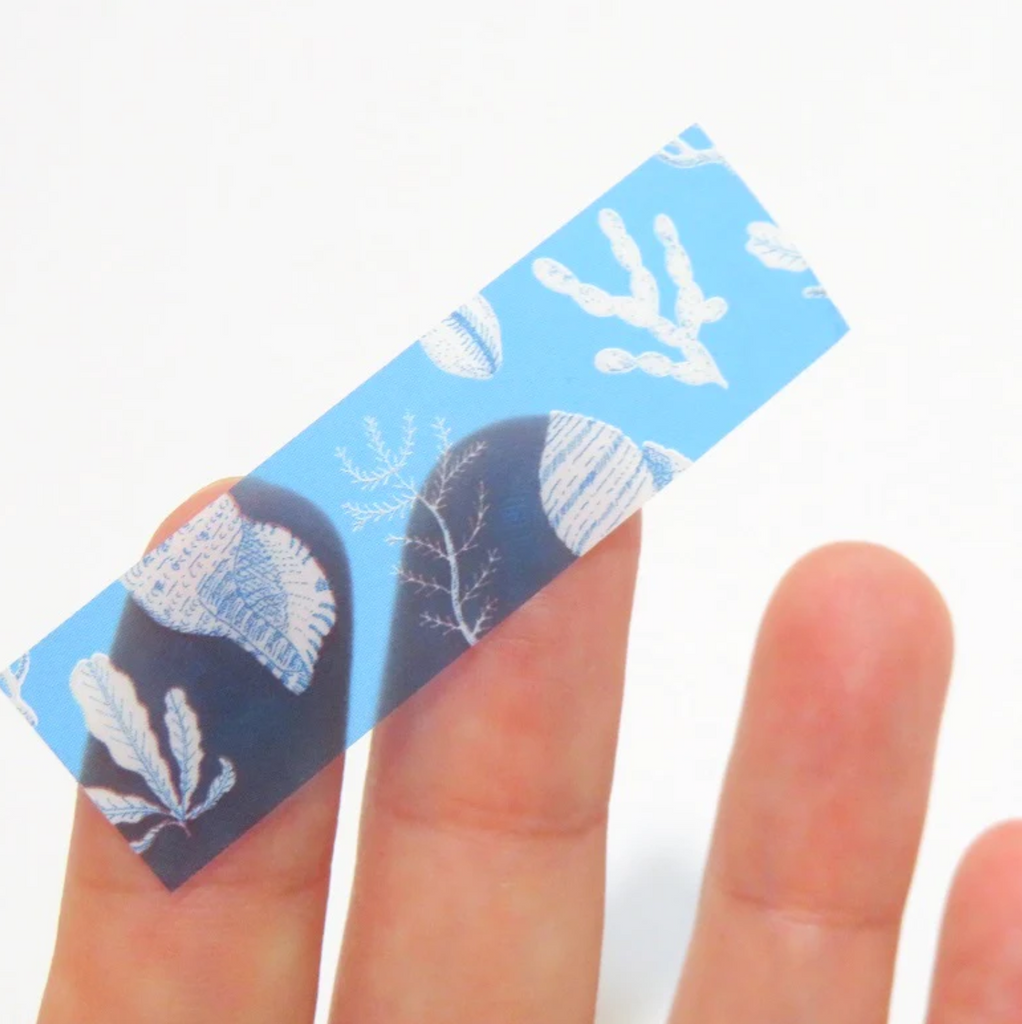 Hitotoki KITTA Clear Masking Tape - Outdoor - Archived - HITOTOKI KIT - T010 - IRO